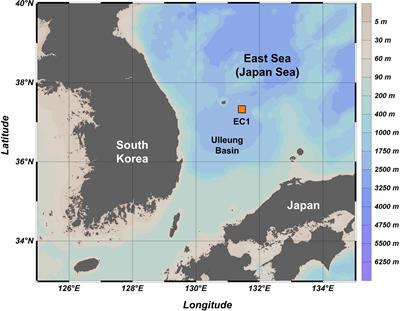 Seasonal Trophic Dynamics of Sinking Particles in the Ulleung Basin of the East Sea (Japan Sea): An Approach Employing Nitrogen Isotopes of Amino Acids